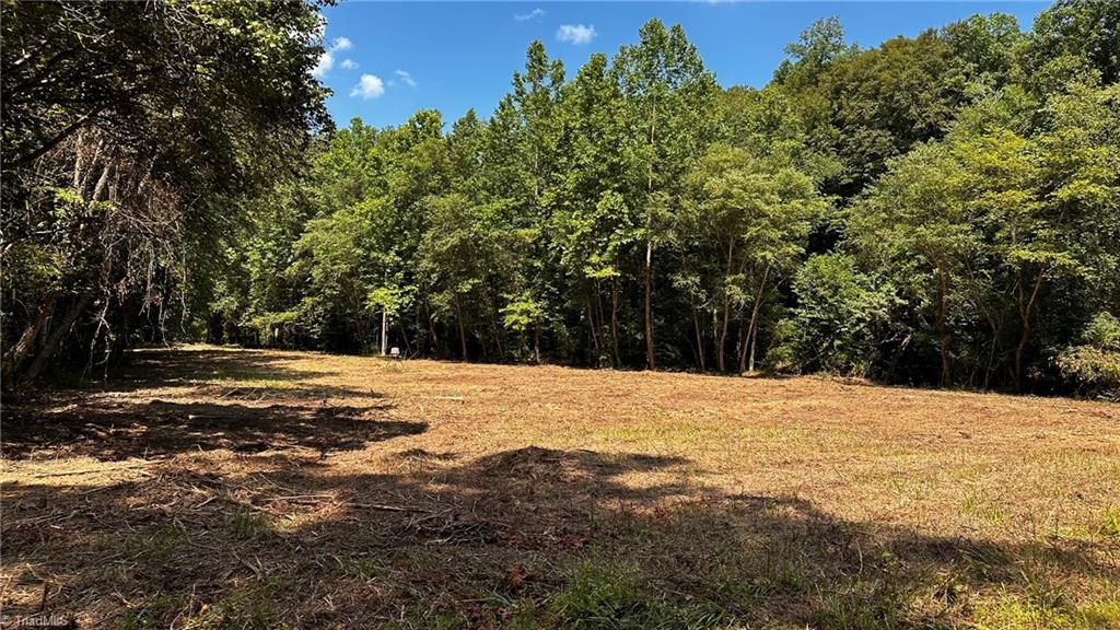 0 River Road Boonville, NC 27011 - Photo 23 of 30 Gallery Image 23