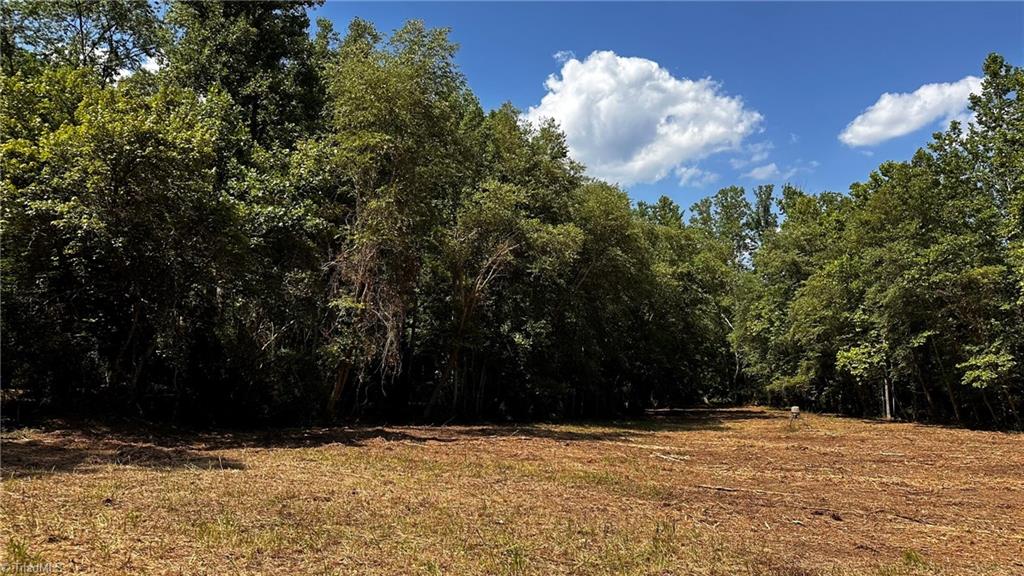0 River Road Boonville, NC 27011 - Photo 24 of 30 Gallery Image 24