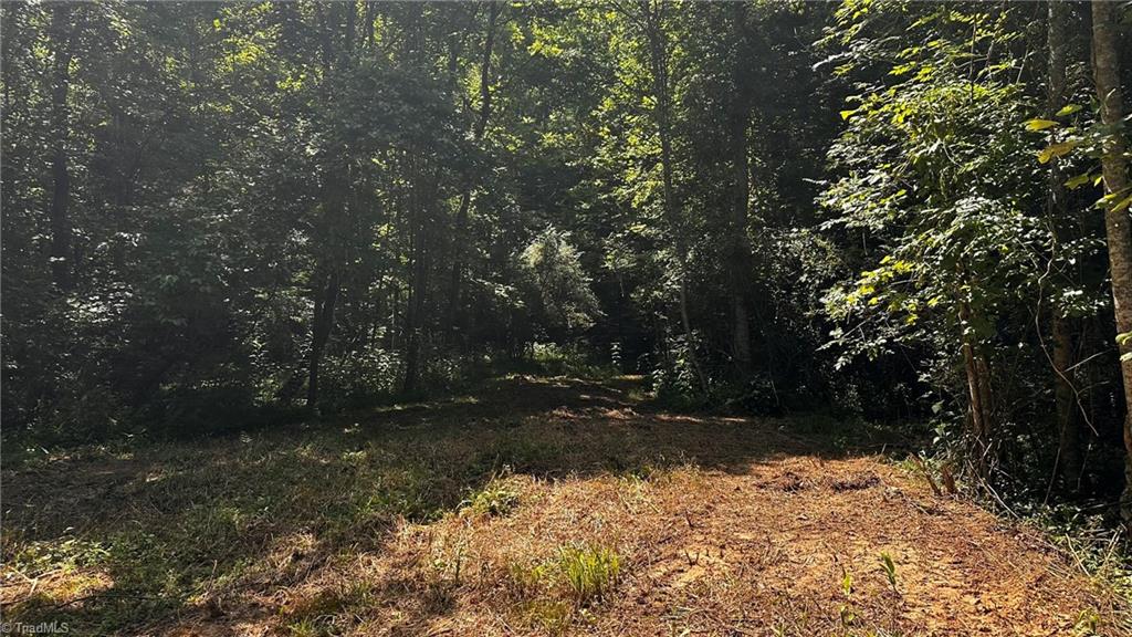 0 River Road Boonville, NC 27011 - Photo 25 of 30 Gallery Image 25