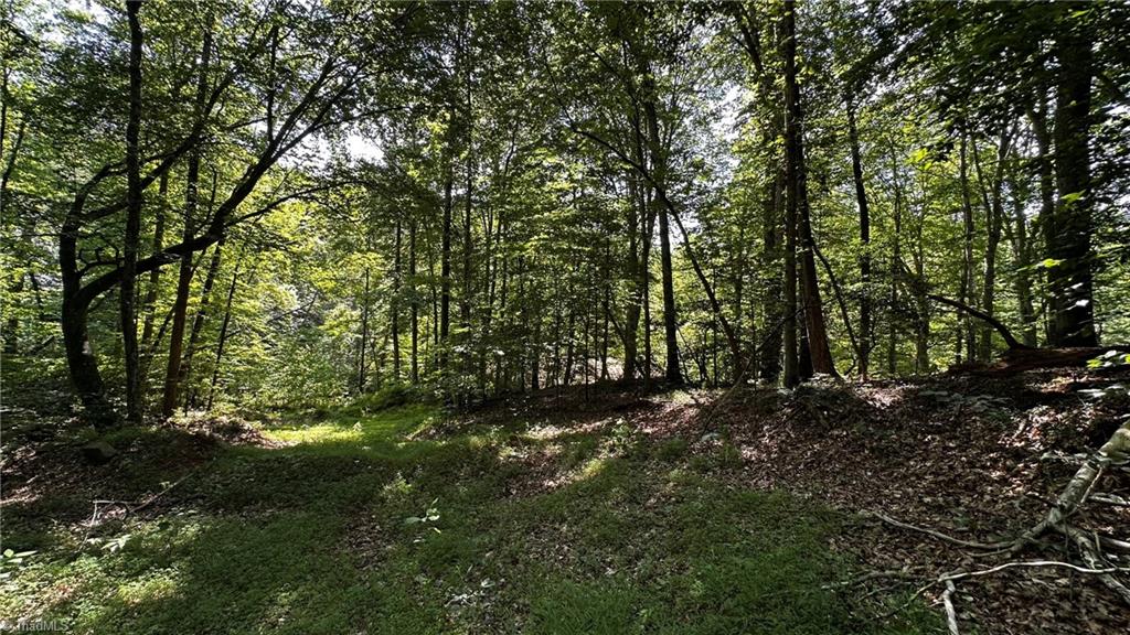 0 River Road Boonville, NC 27011 - Photo 27 of 30 Gallery Image 27