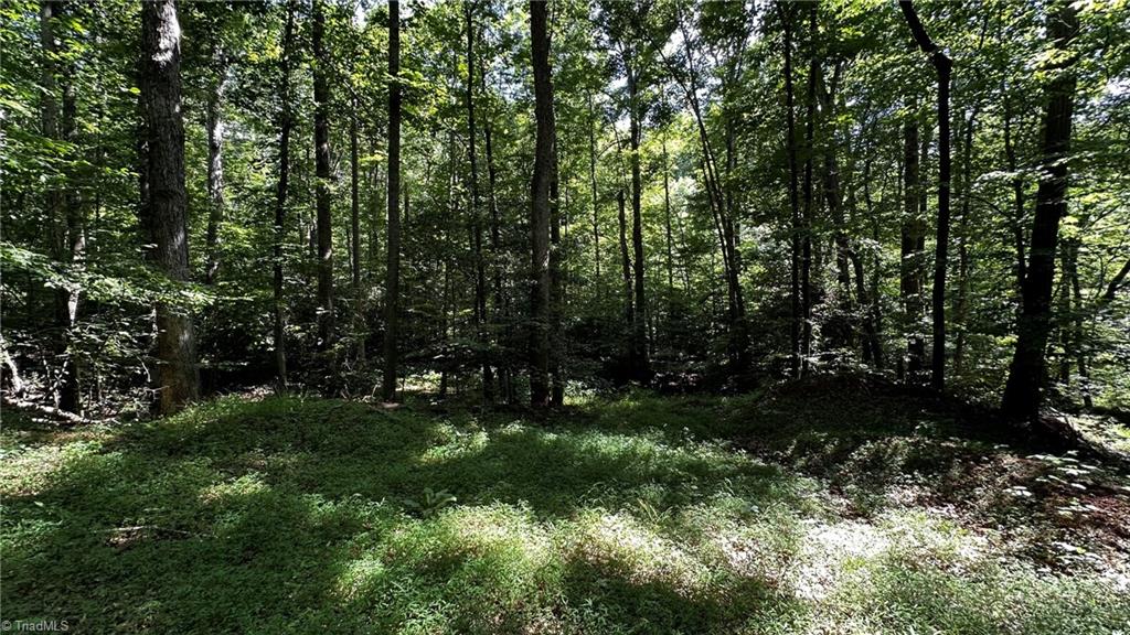 0 River Road Boonville, NC 27011 - Photo 28 of 30 Gallery Image 28