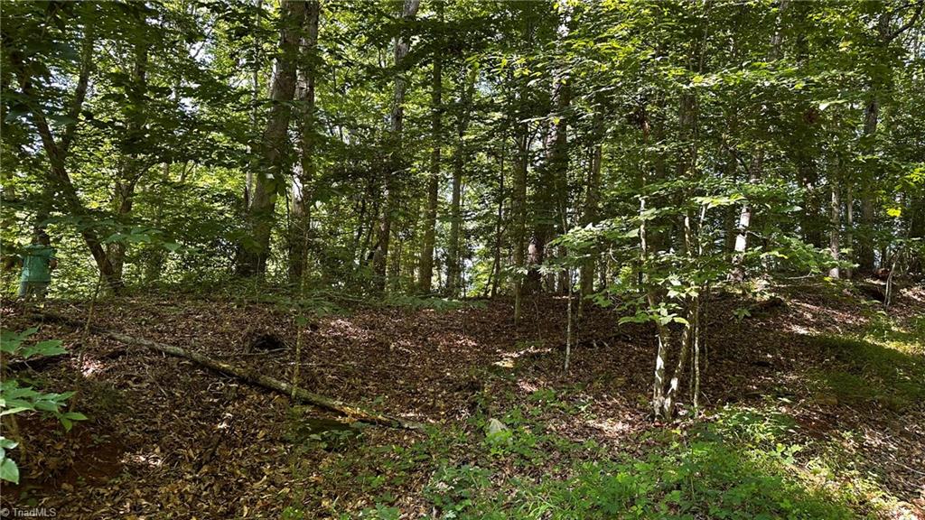 0 River Road Boonville, NC 27011 - Photo 29 of 30 Gallery Image 29