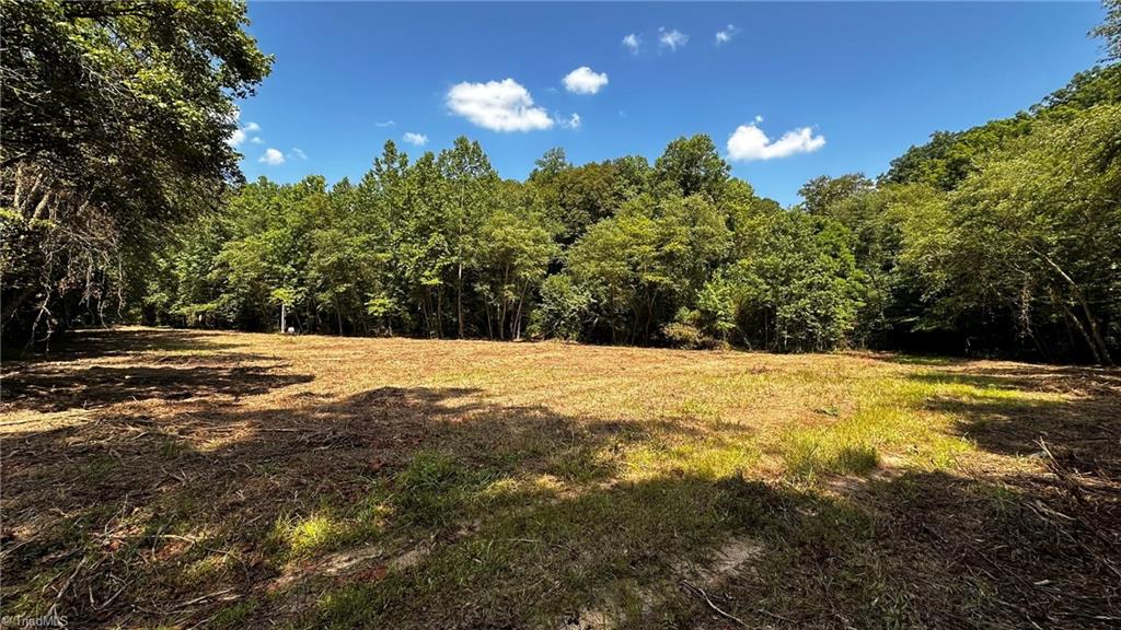 0 River Road Boonville, NC 27011 - Photo 4 of 30 1±ac Clearing
