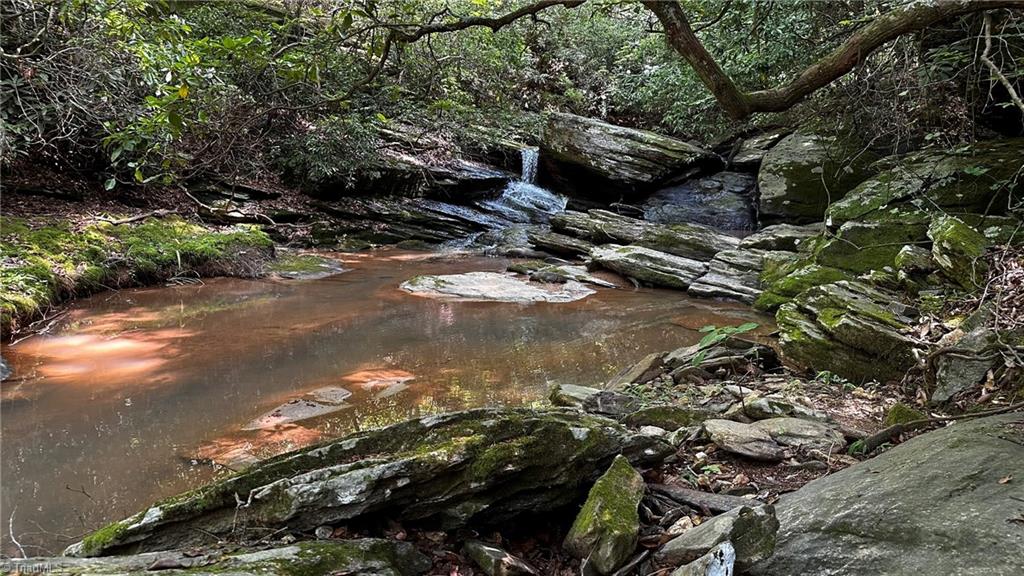0 River Road Boonville, NC 27011 - Photo 7 of 30 Tributary to Tanyard Creek