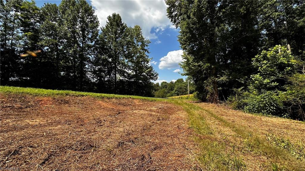 0 River Road Boonville, NC 27011 - Photo 9 of 30 Areas for Food Plots