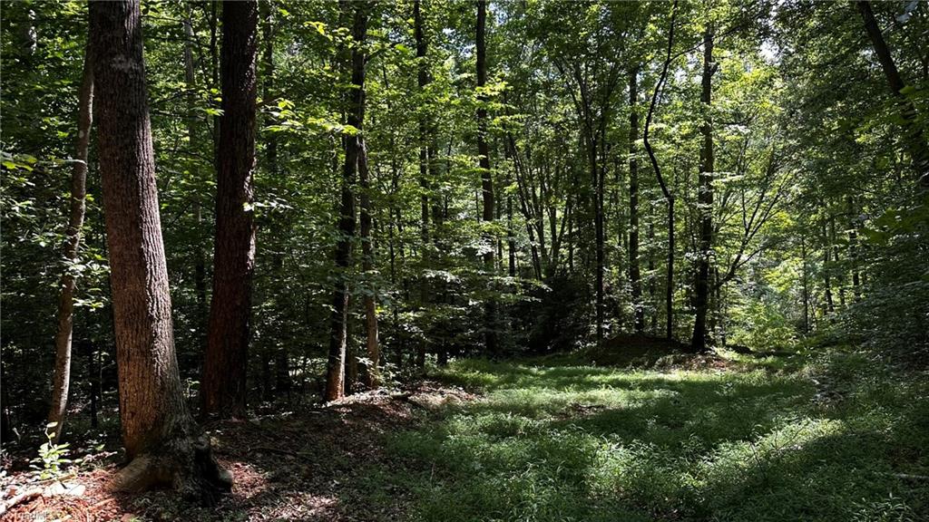 0 River Road Boonville, NC 27011 - Photo 10 of 30 Area in Hardwoods