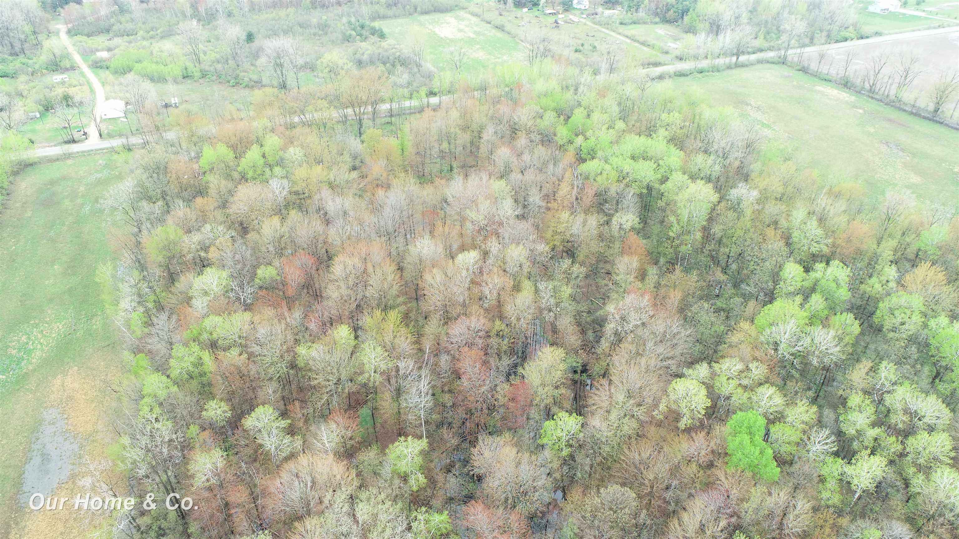 0 North Carter Road Pinconning, MI 48650 - Photo 5 of 29