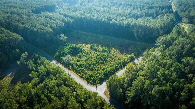 $63,000 | Lot 88 James Lane, White Oak, GA 31568