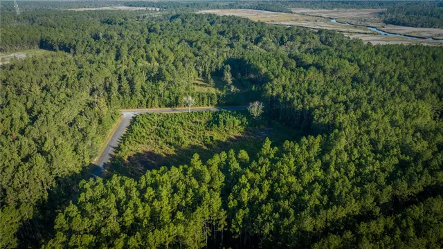 $63,000 | Lot 88 James Lane, White Oak, GA 31568