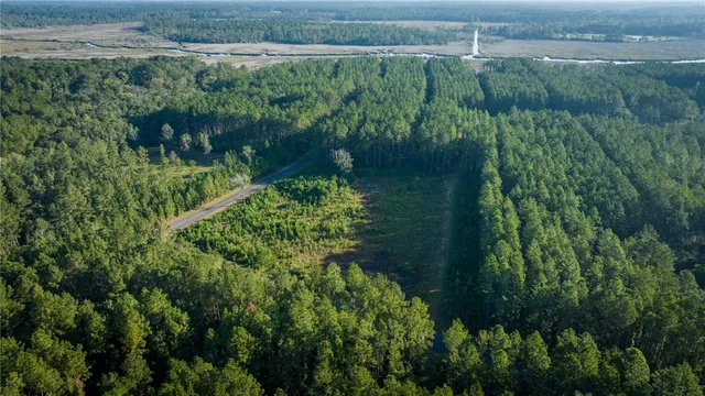 $63,000 | Lot 88 James Lane, White Oak, GA 31568