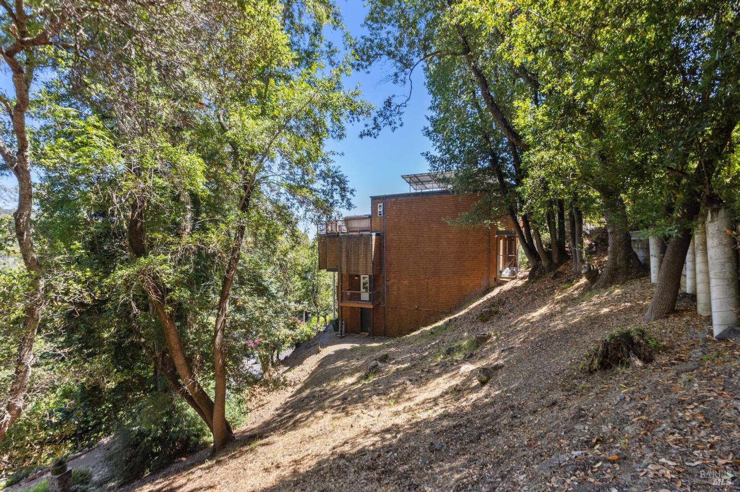 222 Marguerite Avenue Mill Valley, CA 94941 - Photo 54 of 59 a backyard of a house with lots of green space