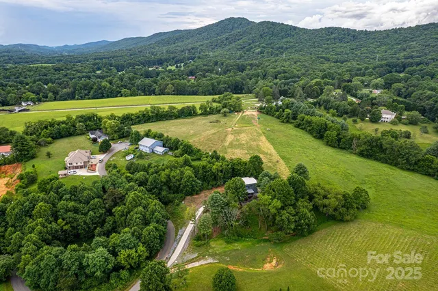 a view of a lush green hillside and houses