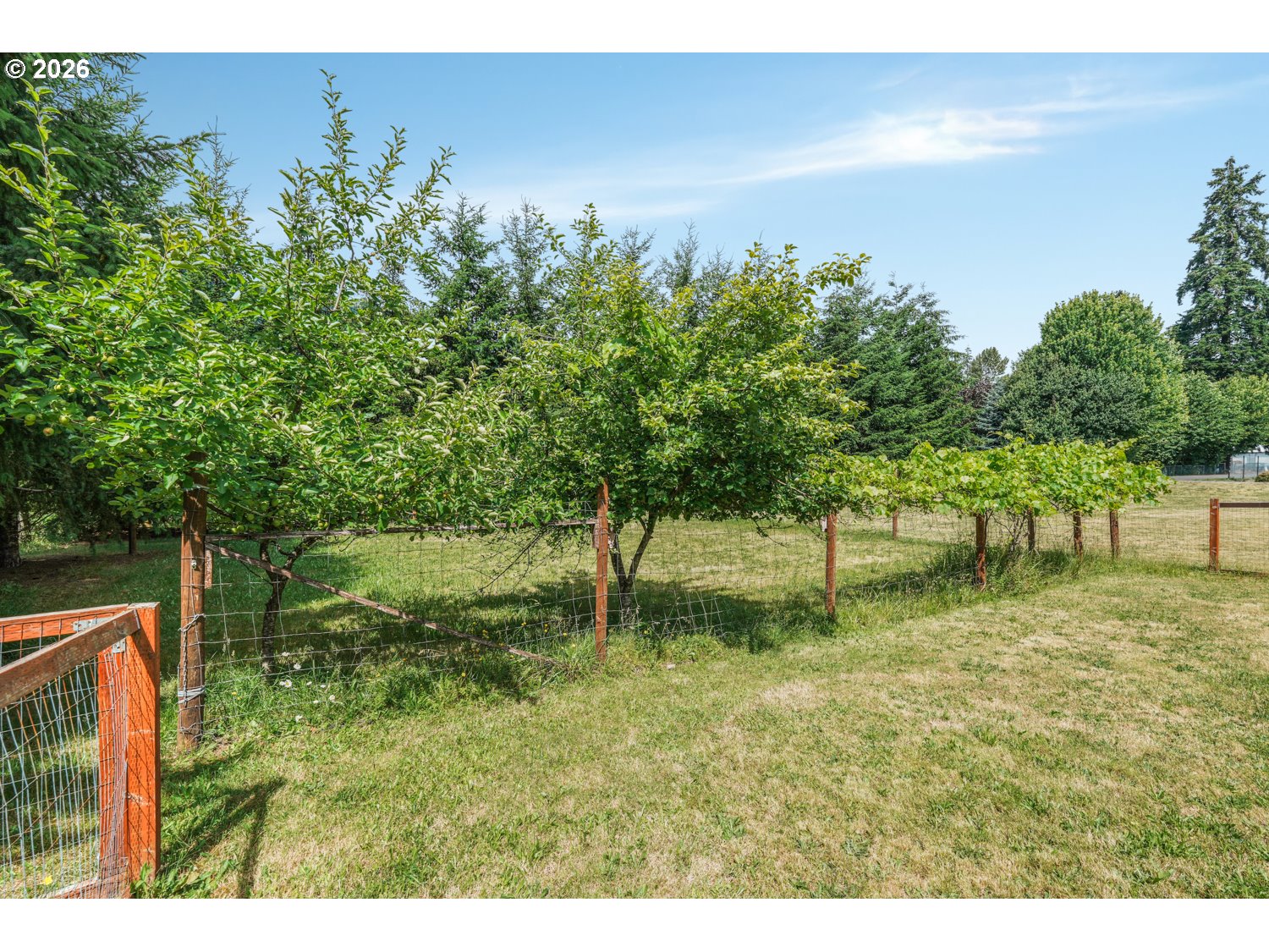 181 Vada Street Carson, WA 98610 - Photo 35 of 42