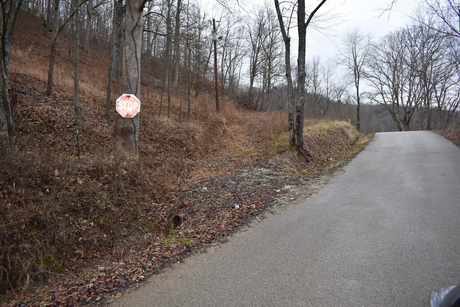 9999 East Crawfish Road Manchester, KY 40962 - Photo 33 of 52 Photo 33