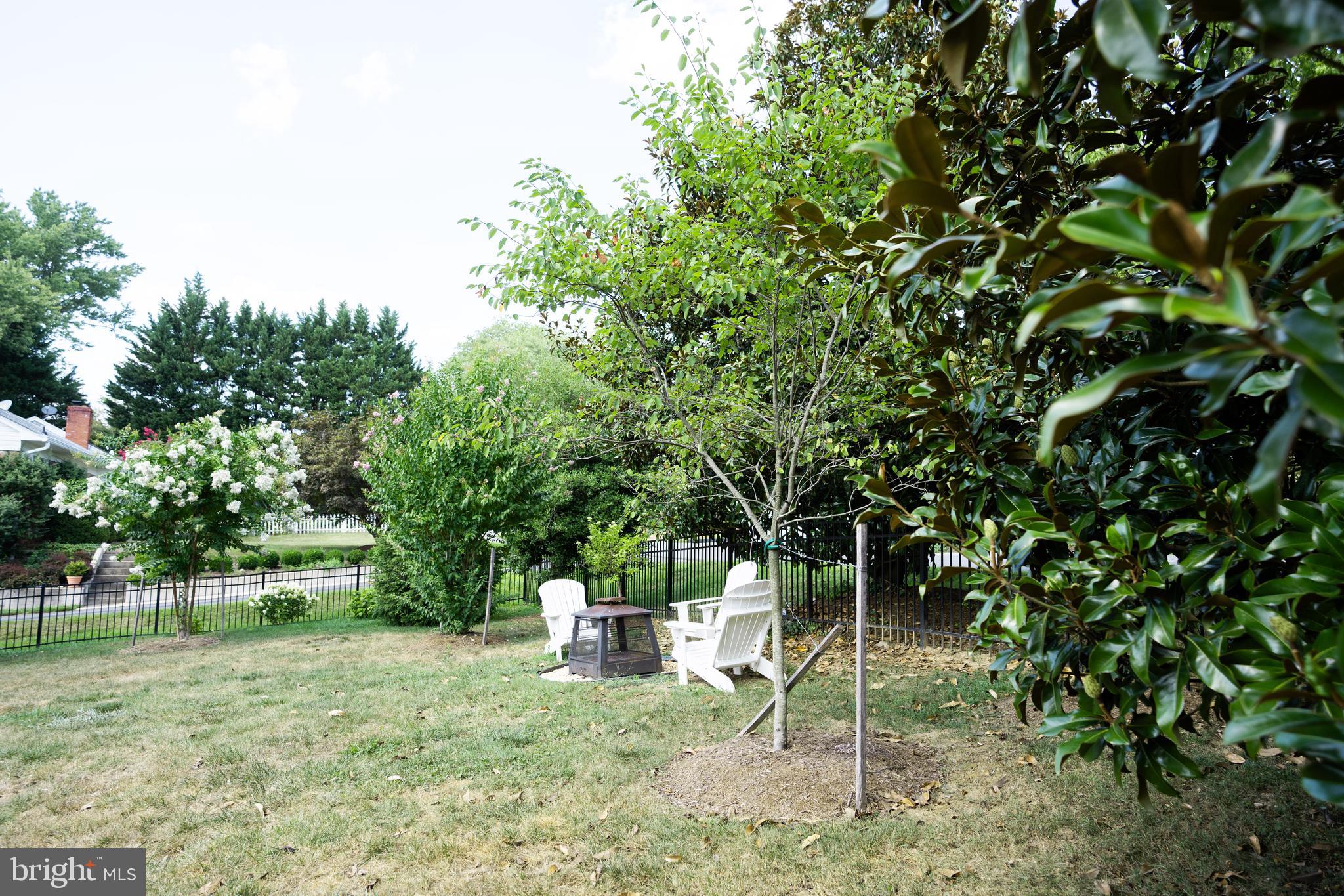 800 Blue Ridge Avenue Middleburg, VA 20117 - Photo 22 of 34