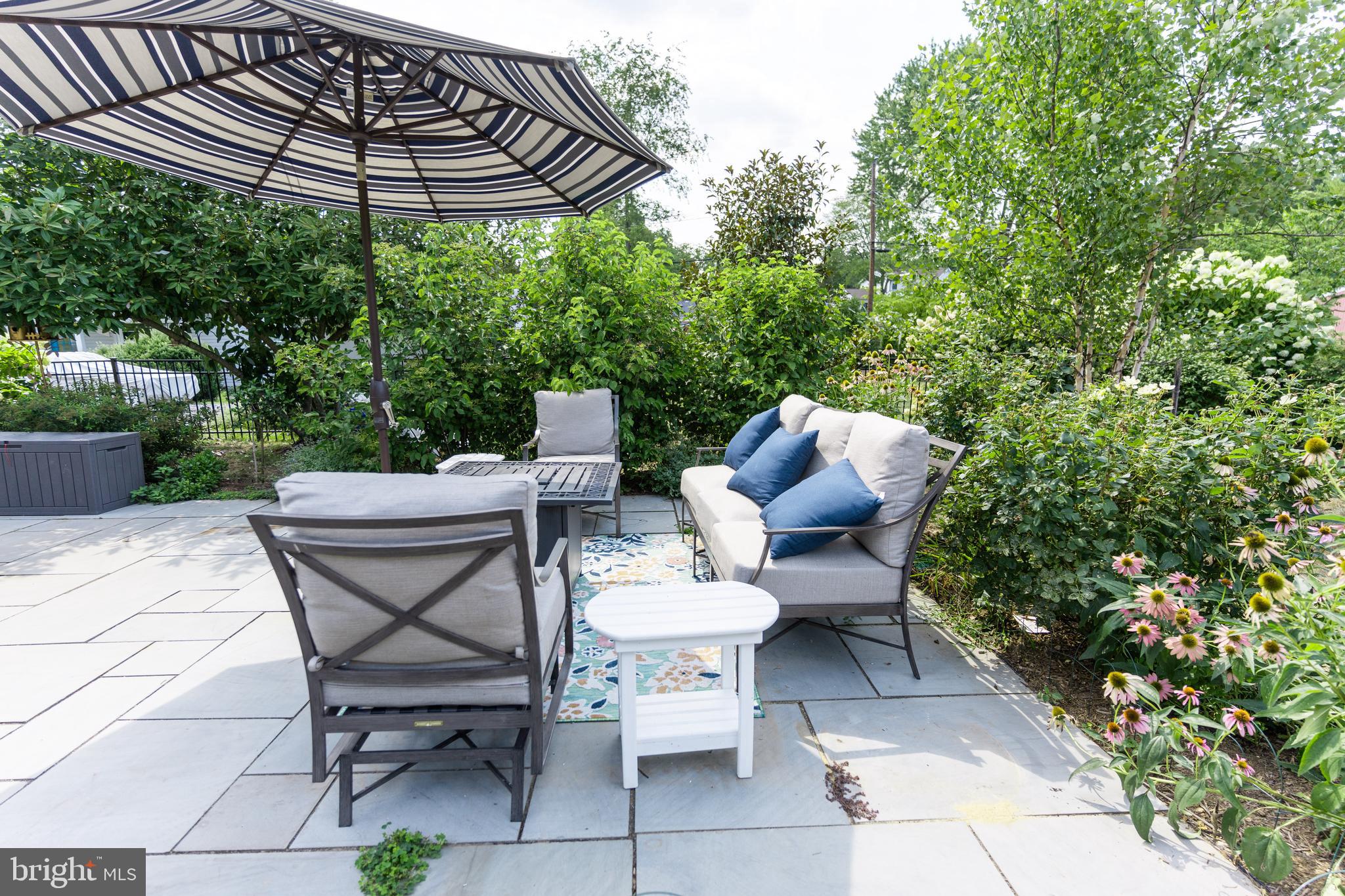 800 Blue Ridge Avenue Middleburg, VA 20117 - Photo 23 of 34 Patio