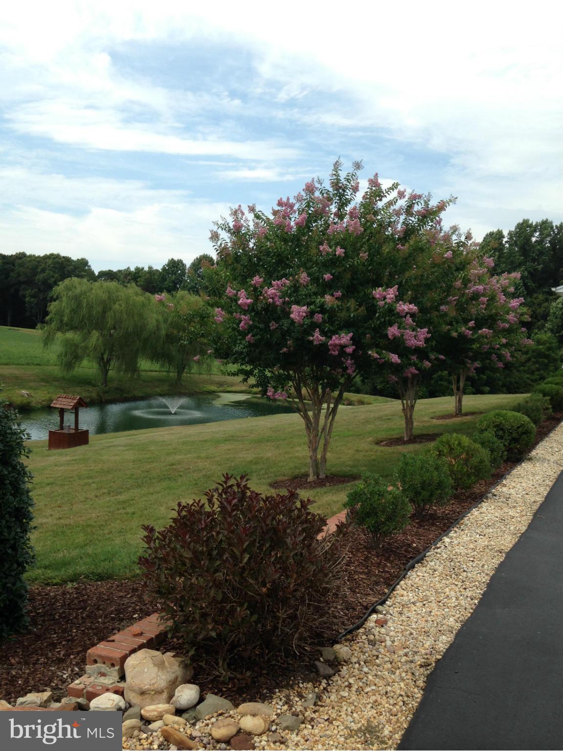 1355 Jewell Road Dunkirk, MD 20754 - Photo 3 of 30 a view of a lake with a yard