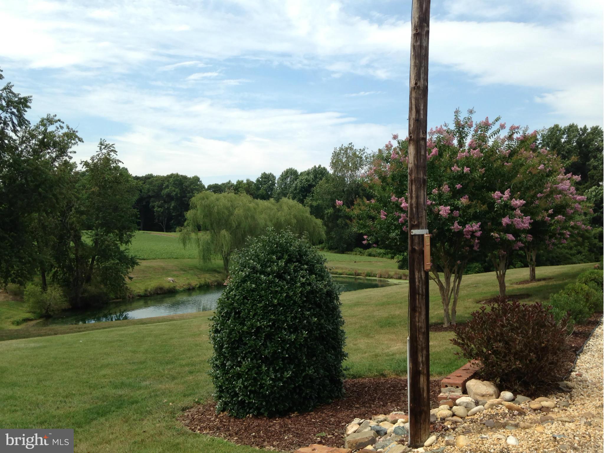 1355 Jewell Road Dunkirk, MD 20754 - Photo 6 of 30 a view of a garden with a tree