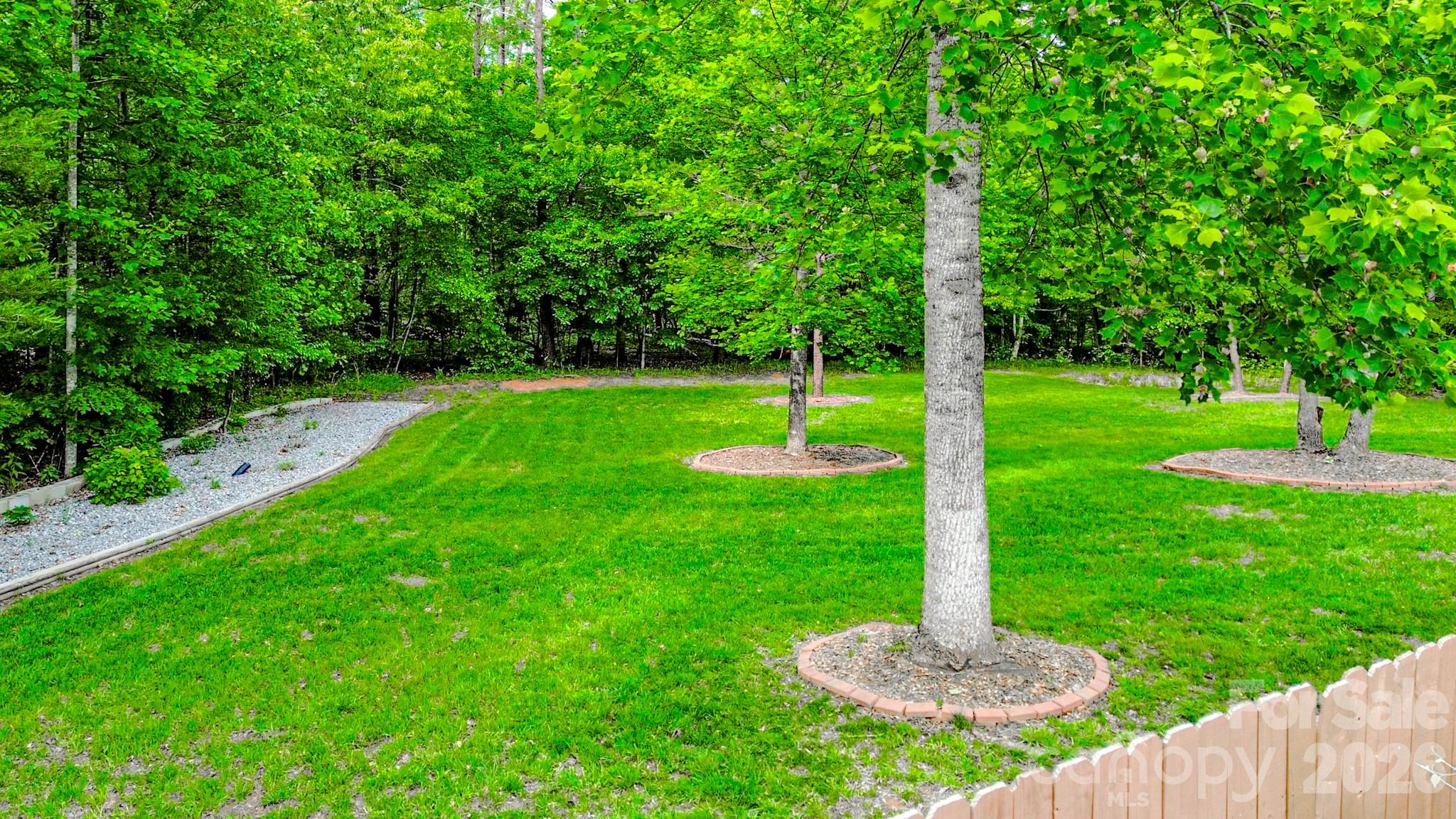 371 Hickory Loop Road Rutherfordton, NC 28139 - Photo 6 of 47
