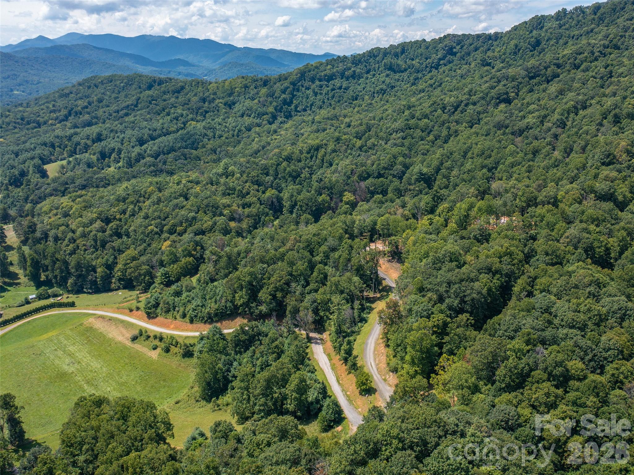 0 Locust Rough Mountain Road, Unit LOT 6 Burnsville, NC 28714 - Photo 10 of 26