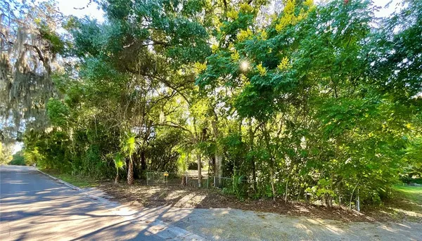 a view of a yard with plants and trees