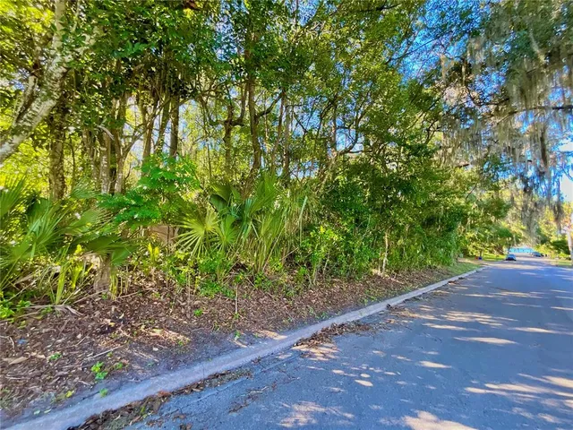 a view of a plants with a tree