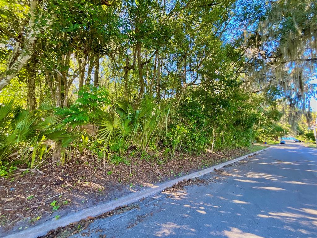 Trout Street Melrose, FL 32666 - Photo 12 of 41 a view of a plants with a tree