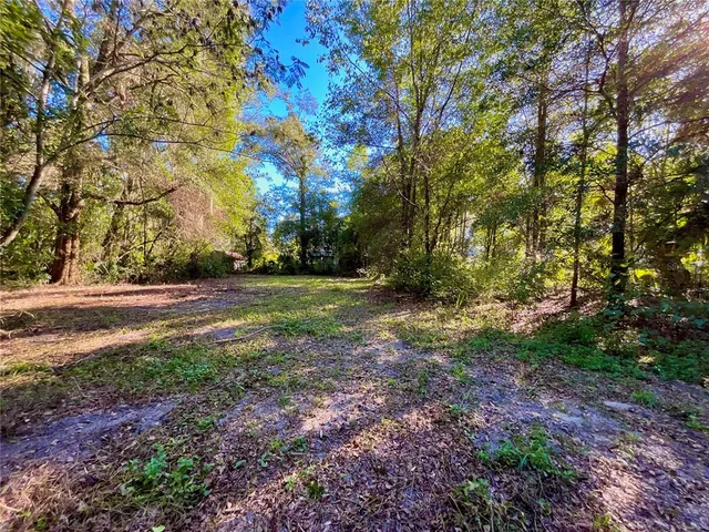 a view of backyard with green space