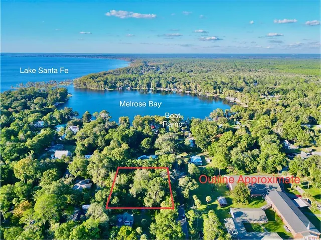 a view of a plants with a tree