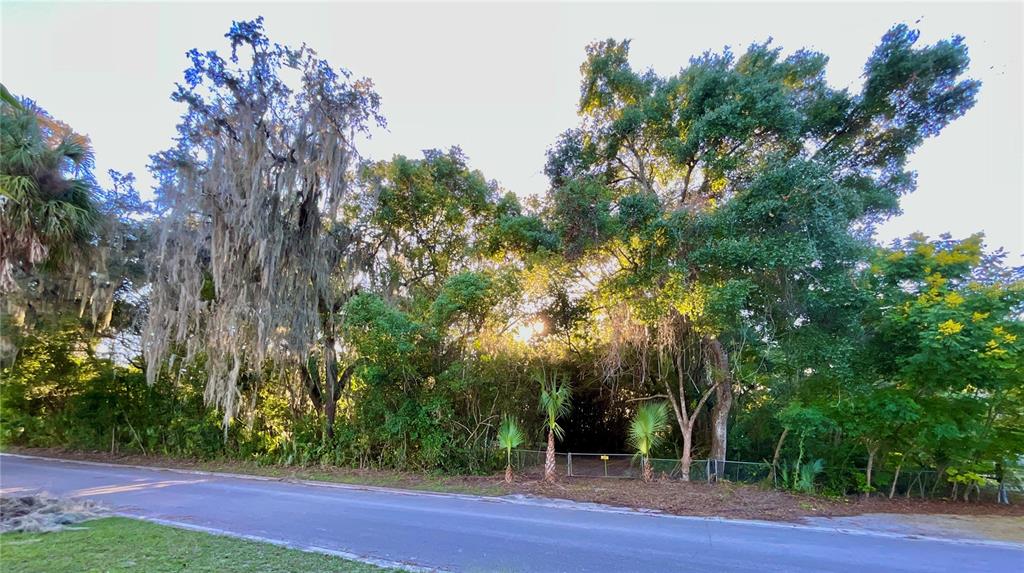 Trout Street Melrose, FL 32666 - Photo 23 of 41 a view of a yard