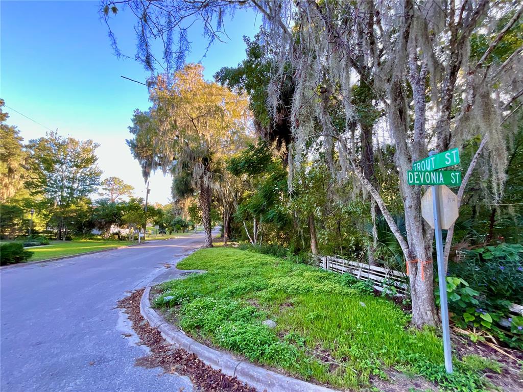 Trout Street Melrose, FL 32666 - Photo 26 of 41 a backyard of a house with lots of green space