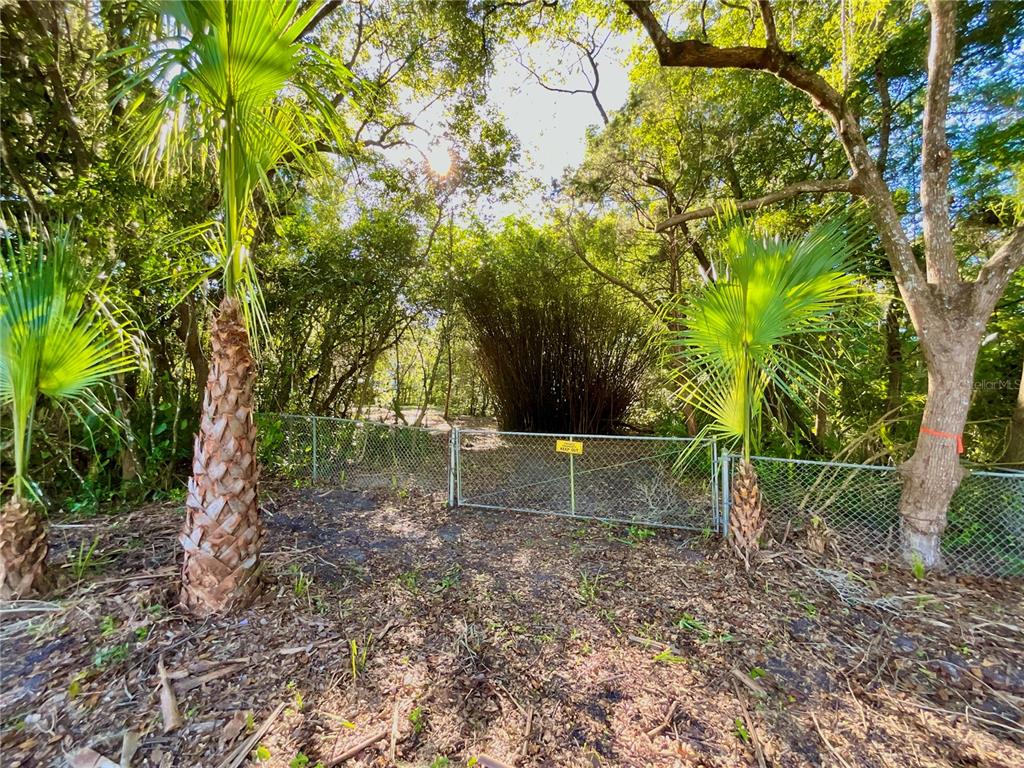 Trout Street Melrose, FL 32666 - Photo 3 of 41 a view of outdoor space and yard