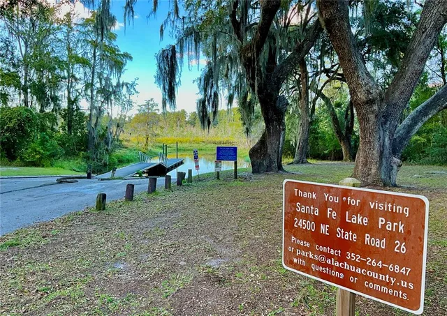 a view of a street with a tree