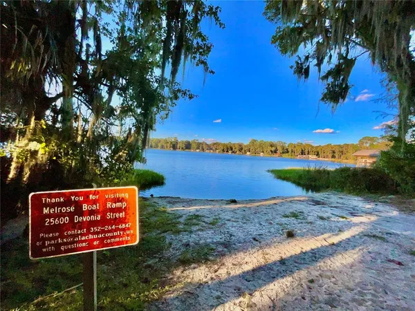 a view of a yard with plants and large trees