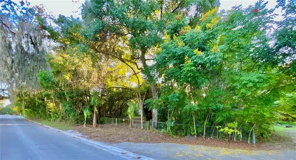 a backyard of a house with lots of plants and large trees
