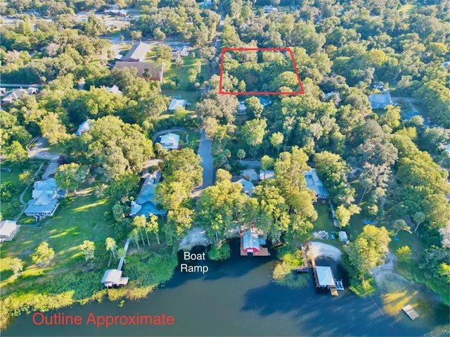 a picture of flowers