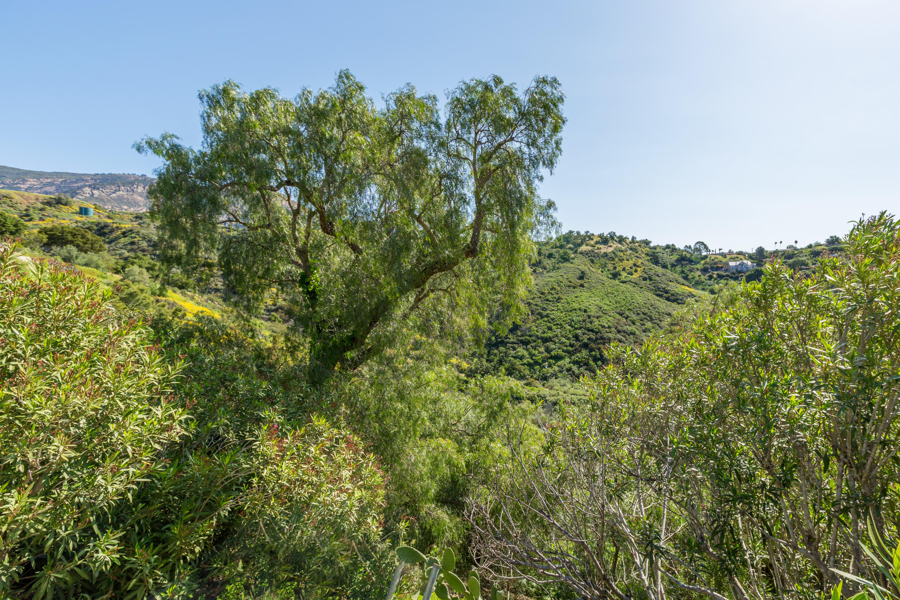 440 Northridge Road Santa Barbara, CA 93105 - Photo 31 of 35 Hill view