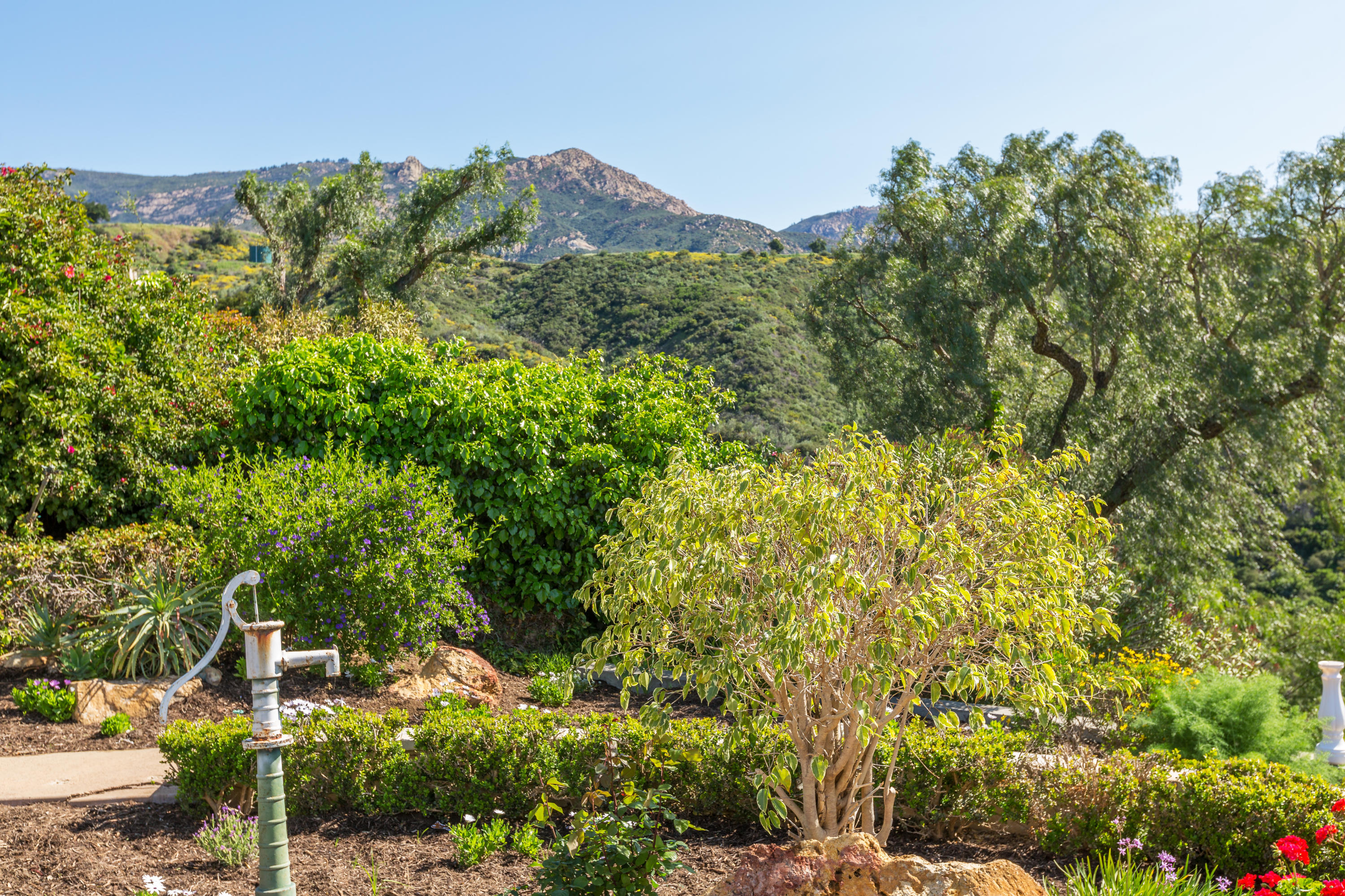440 Northridge Road Santa Barbara, CA 93105 - Photo 34 of 35 Garden and Mountain