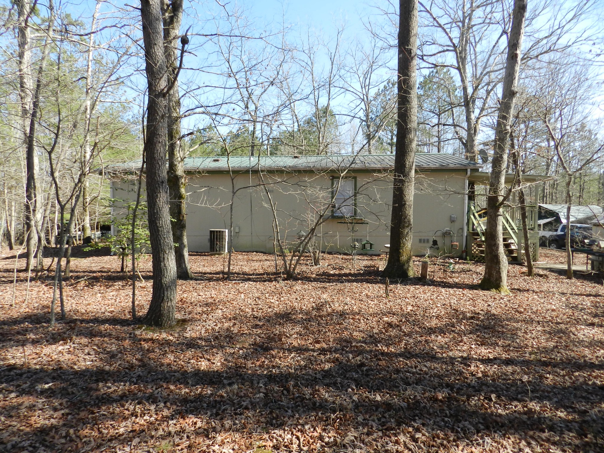 195 Roddy Springs Road Coalmont, TN 37313 - Photo 4 of 9