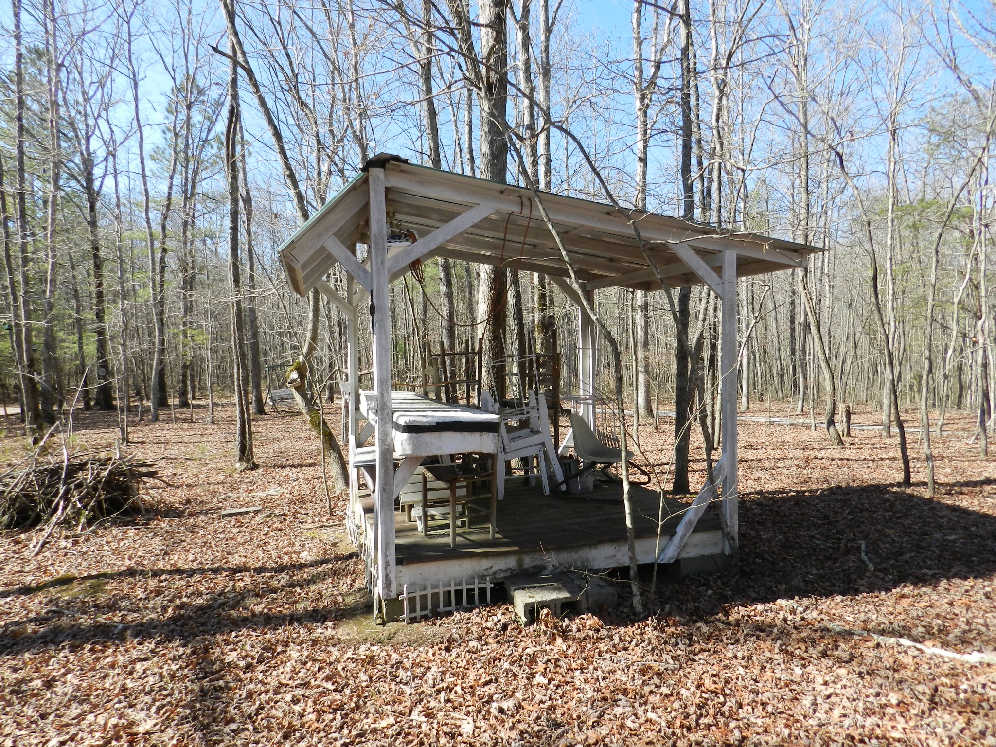 195 Roddy Springs Road Coalmont, TN 37313 - Photo 5 of 9