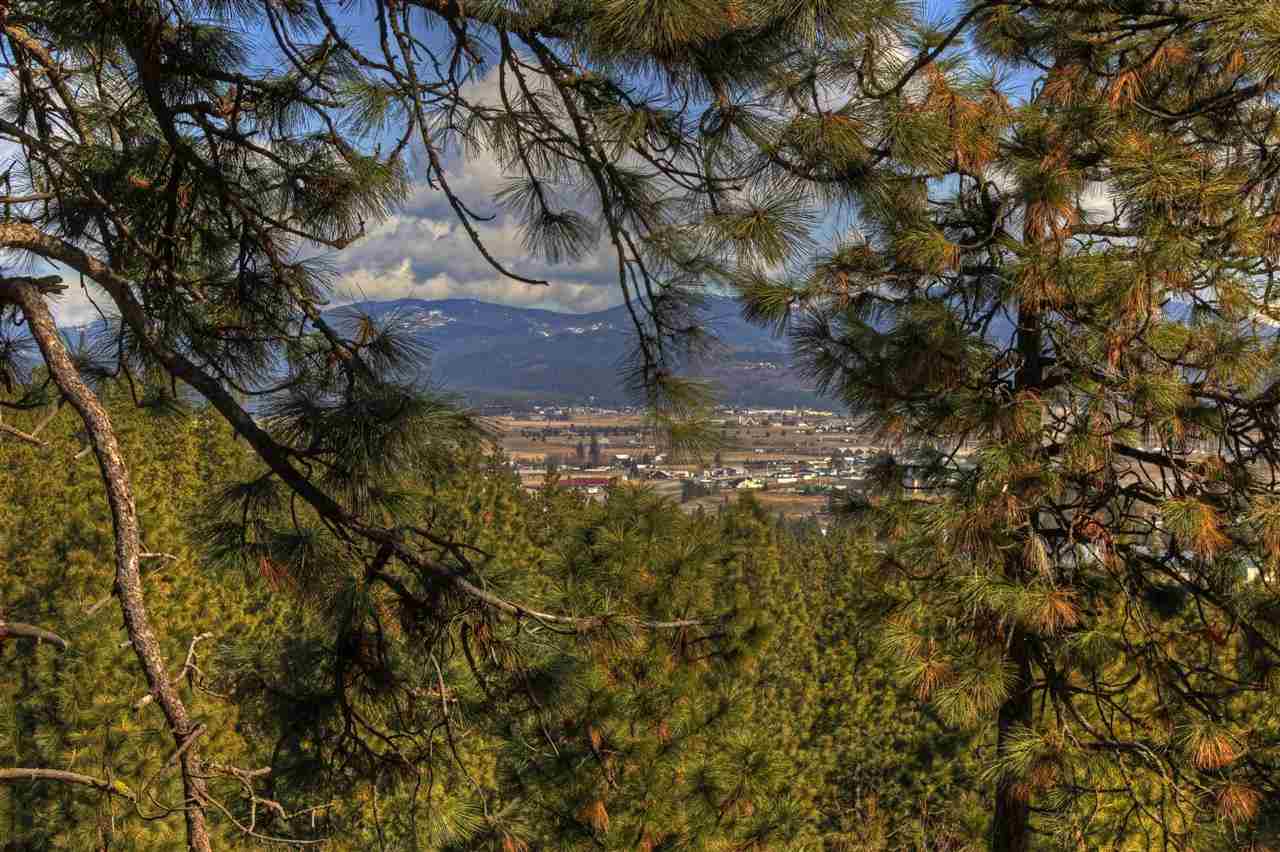 2912 North Chase Road Liberty Lake, WA 99019 - Photo 3 of 20 Gallery Image 3