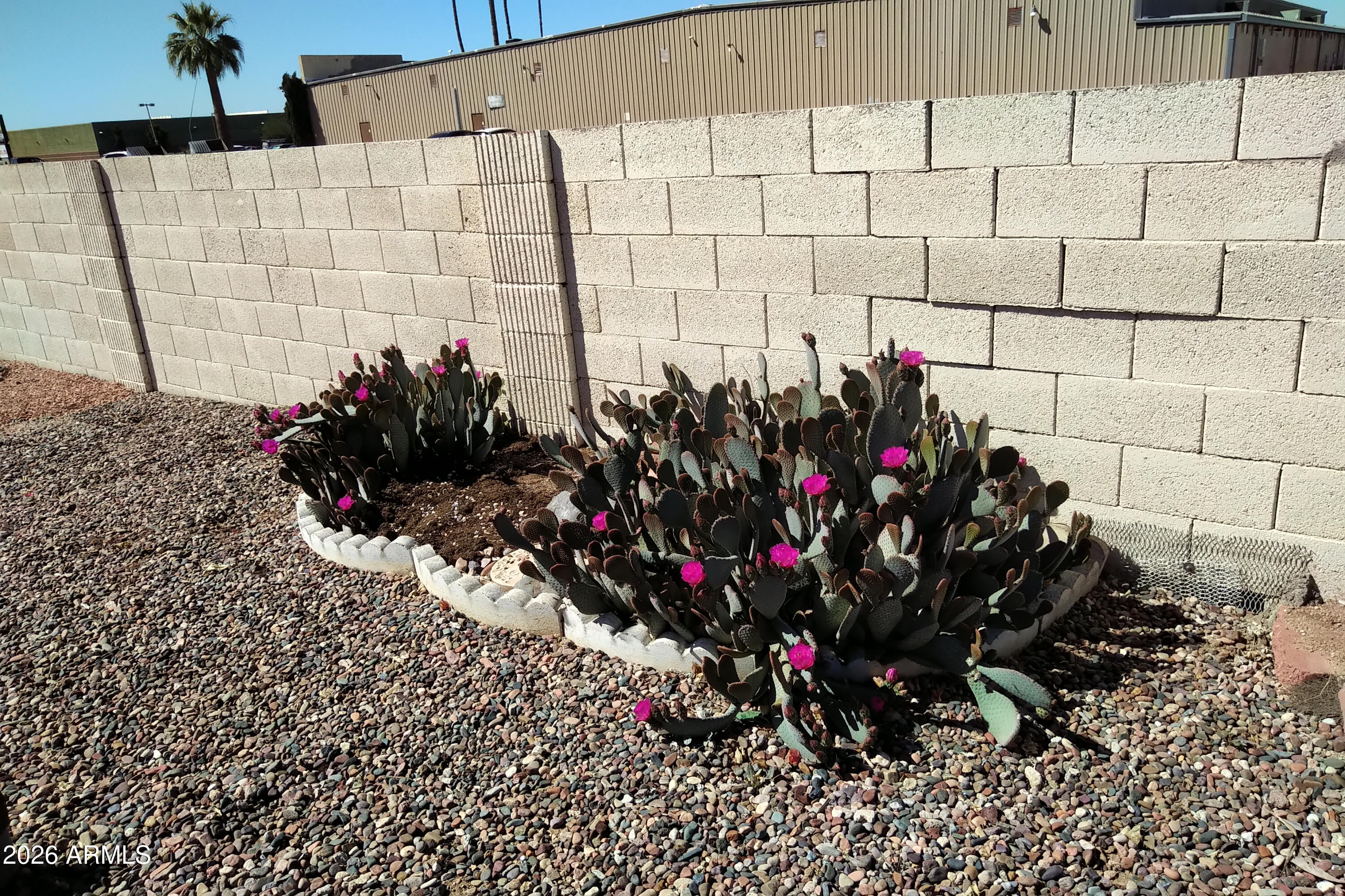 9302 East Broadway Road, Unit 179 Mesa, AZ 85208 - Photo 50 of 54 a view of a bunch of flowers