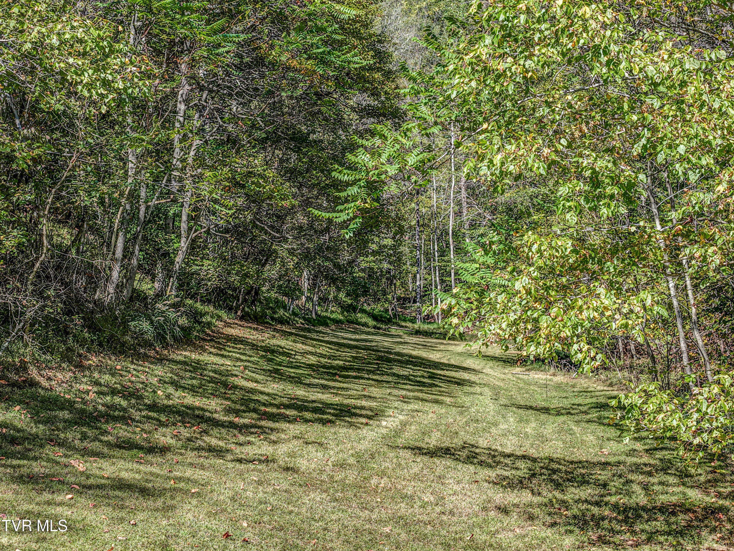 2388 Ruritan Run Road Gate City, VA 24251 - Photo 65 of 72 DJI_20251006141607_0081_D_2_D_3_D_4_D_5_