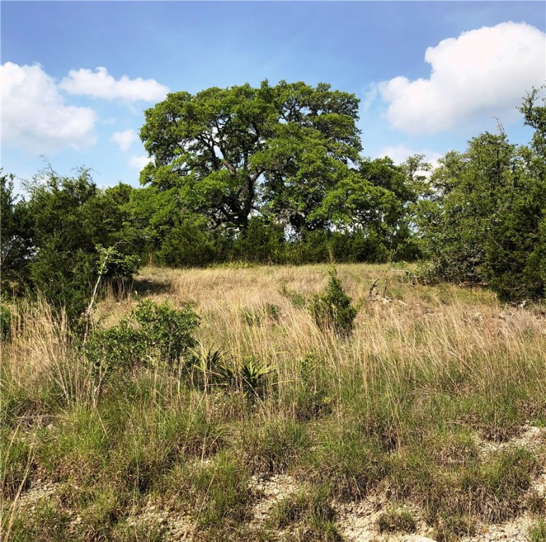 Lot #1 Mt Sharp Rd/mt Gainor Road Wimberley, TX 78676 - Photo 1 of 1