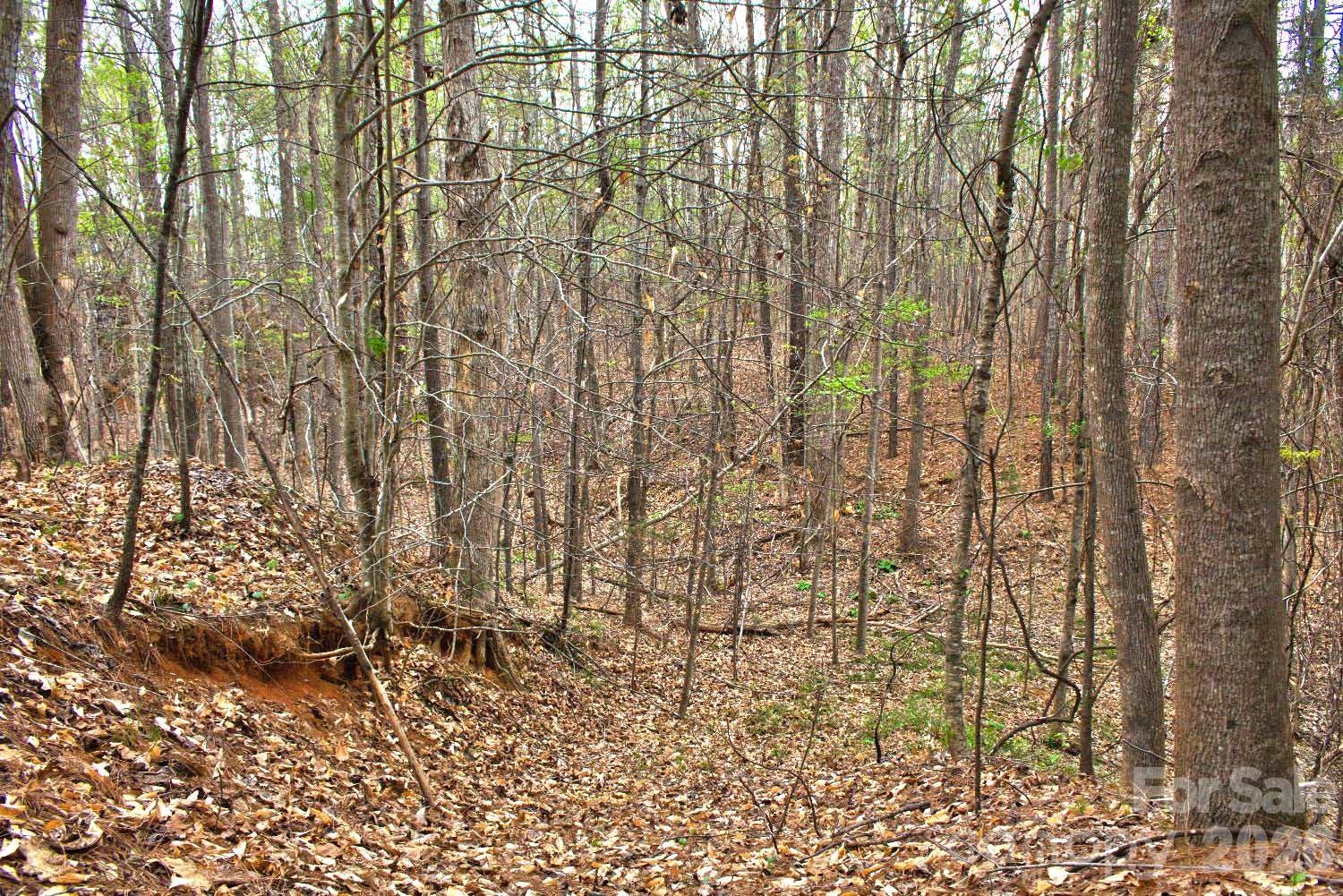 0 Clearwater Parkway, Unit 14 Rutherfordton, NC 28139 - Photo 2 of 5