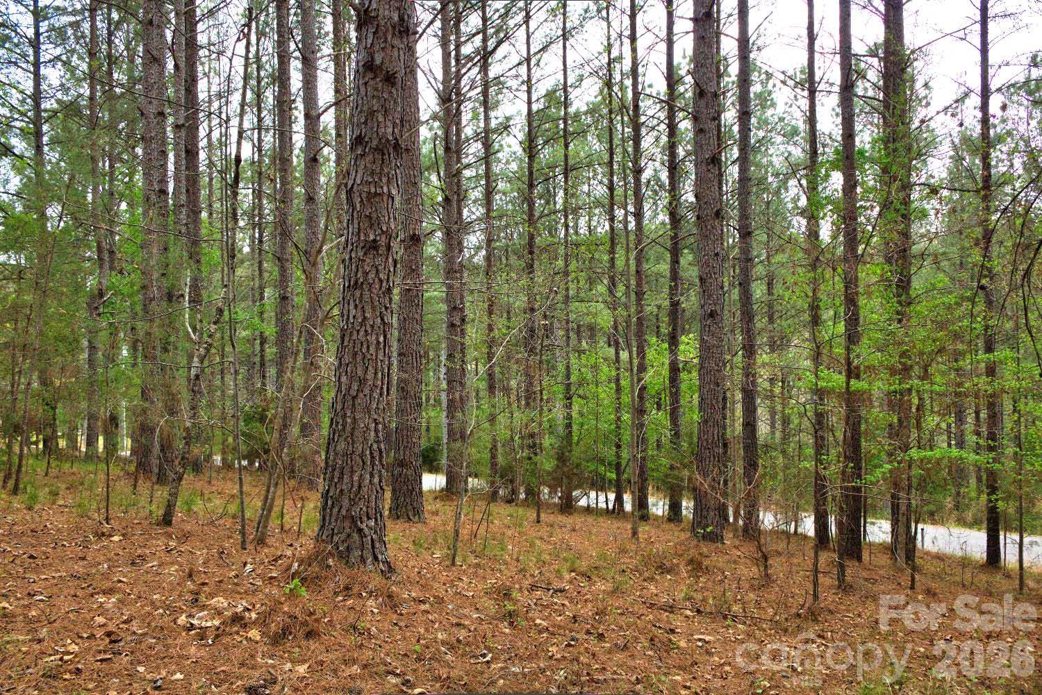 0 Clearwater Parkway, Unit 14 Rutherfordton, NC 28139 - Photo 4 of 5 a view of outdoor space with lots of trees