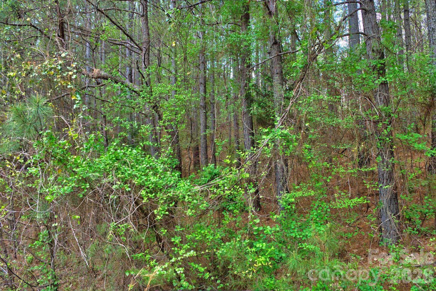 0 Clearwater Parkway, Unit 14 Rutherfordton, NC 28139 - Photo 5 of 5 a view of a garden