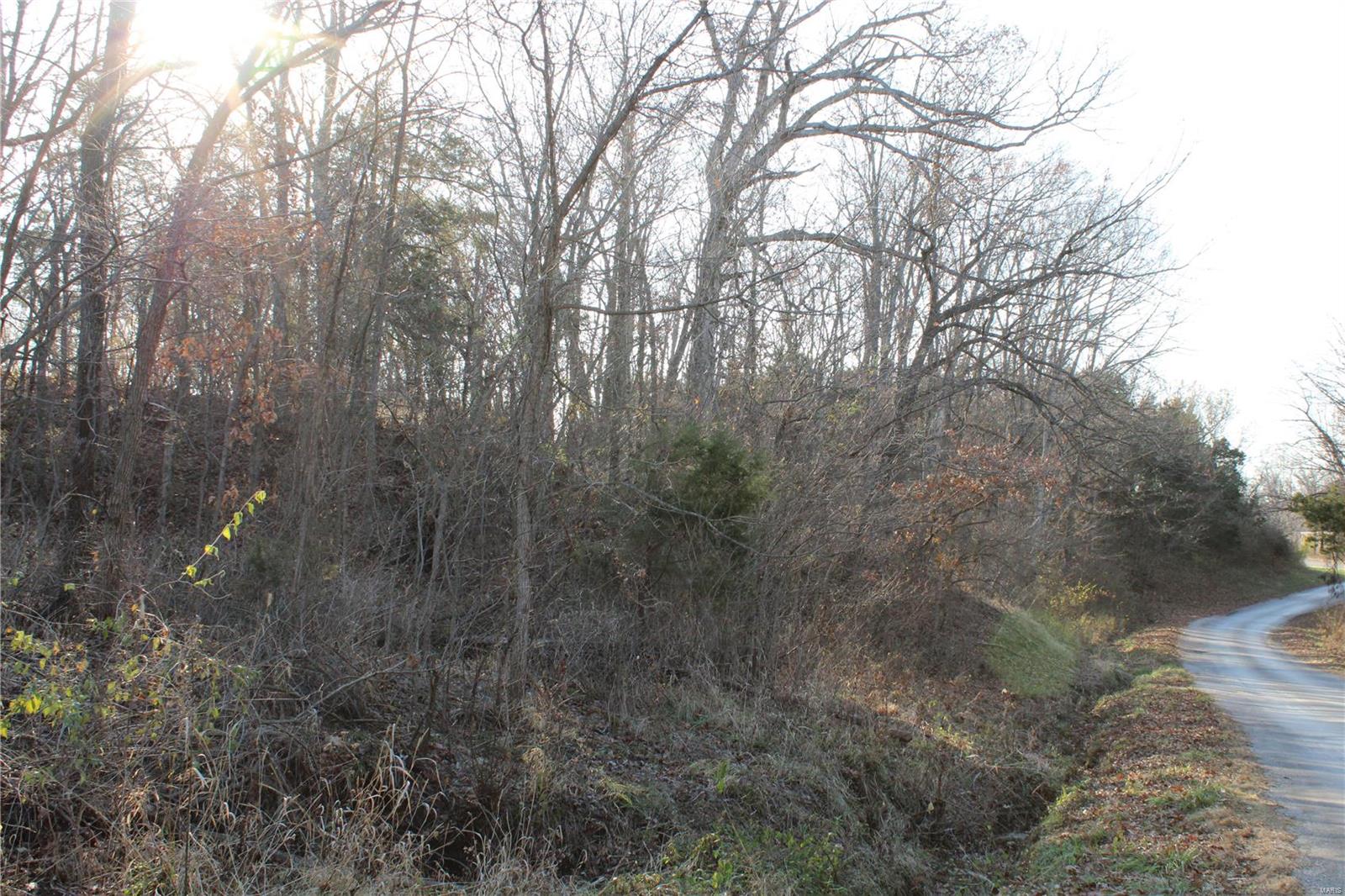 0 Mm Road Fults, IL 62244 - Photo 5 of 23