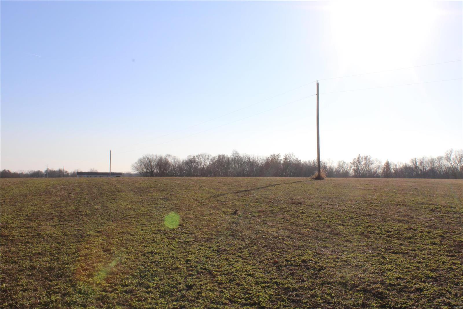 0 Mm Road Fults, IL 62244 - Photo 6 of 23