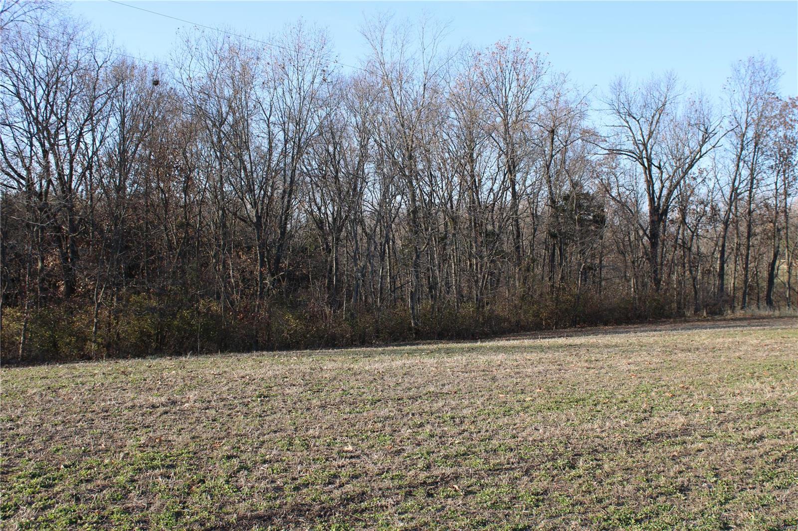 0 Mm Road Fults, IL 62244 - Photo 7 of 23